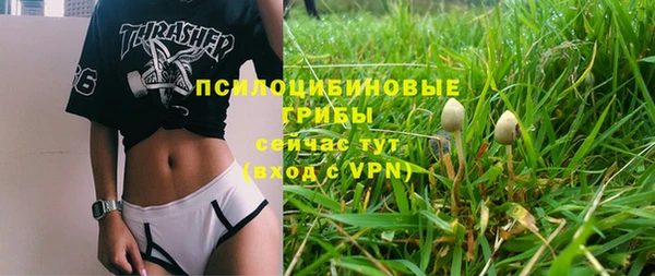 мескалин Алексин