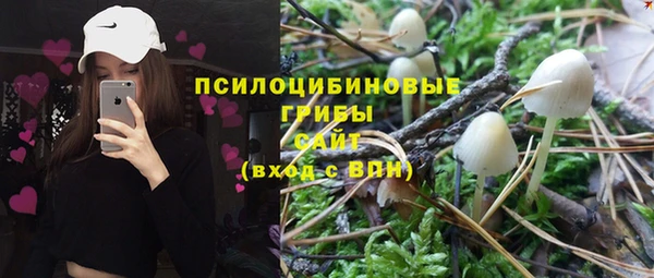 дурь Алзамай