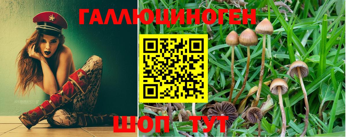 Псилоцибиновые грибы Psilocybine cubensis  купить наркотики сайты  Евпатория  Вход с VPN 