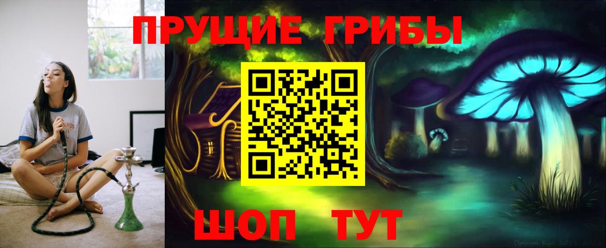 Псилоцибиновые грибы Psilocybine cubensis Евпатория