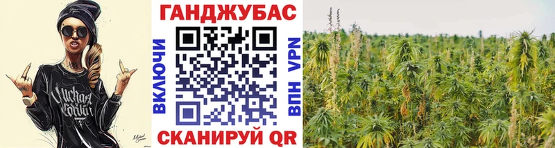 Бошки Шишки конопля  Евпатория 